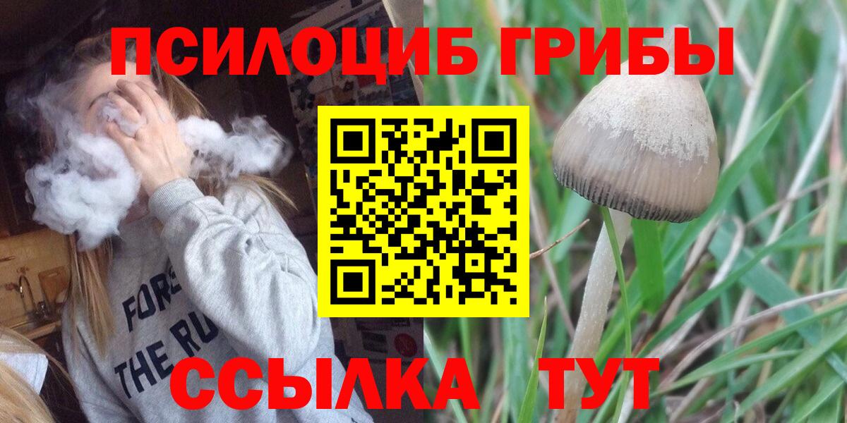 Галлюциногенные грибы ЛСД Орёл